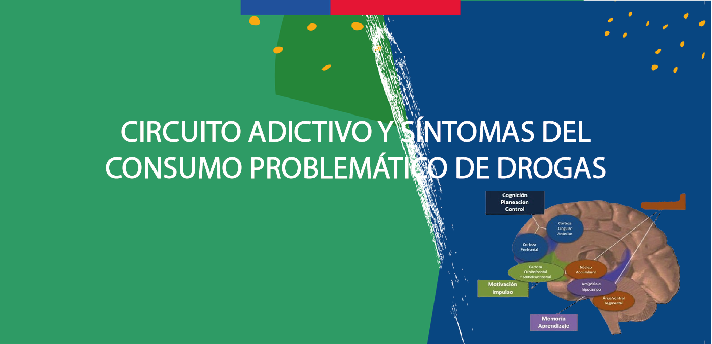 Infografía: Circuito adictivo y síntomas del consumo problemático de drogas